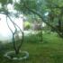 Apartments Popovic- Risan, private accommodation in city Risan, Montenegro - 65.Mandarine Narandže i Limun